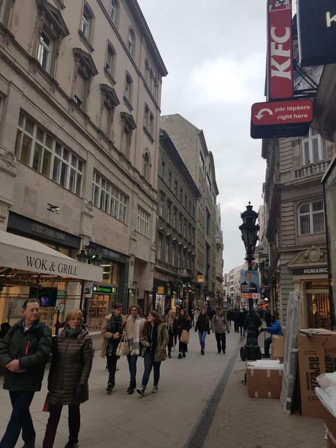 Choosy City Flat Budapest Exterior foto